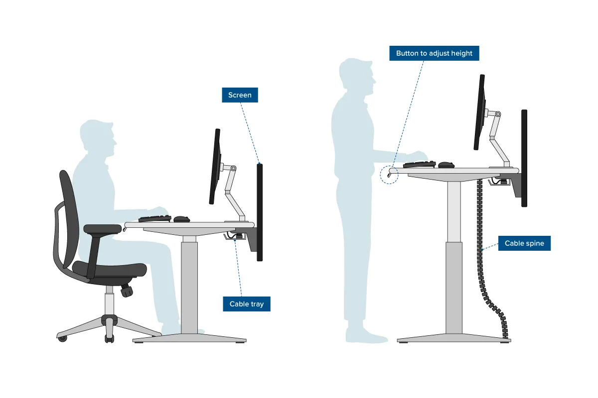 Illustrated diagram of a well-structured ergonomic workspace showing desk, chair, and monitor layout
